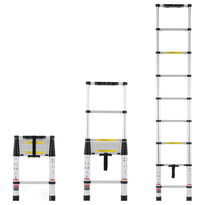 Portable Telescopic Ladder (Up to 20.3FT)