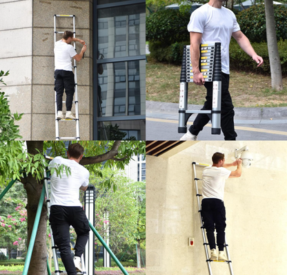 Portable Telescopic Ladder (Up to 20.3FT)