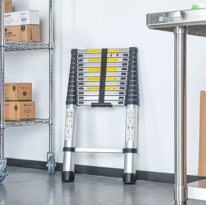 Portable Telescopic Ladder (Up to 20.3FT)